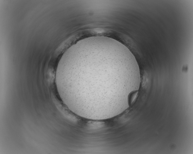 X0000112430476200909041440