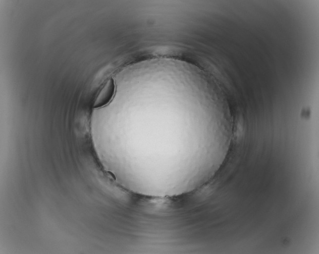 X0000112430478200909041440