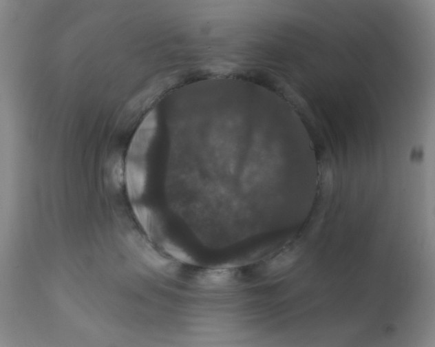 X0000112430479200909041440