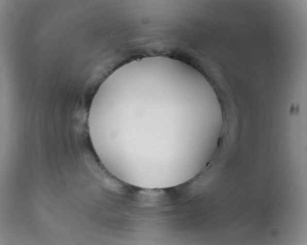 X0000112430480200909041440