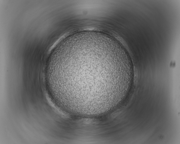 X0000112430482200909041440