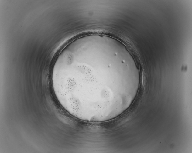 X0000112430483200909041440