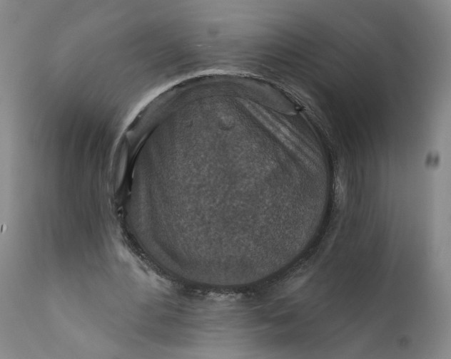 X0000112430484200909041440