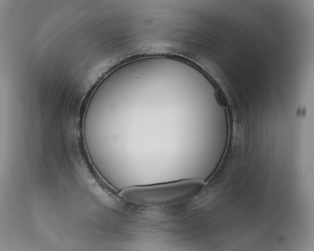 X0000112430485200909041440