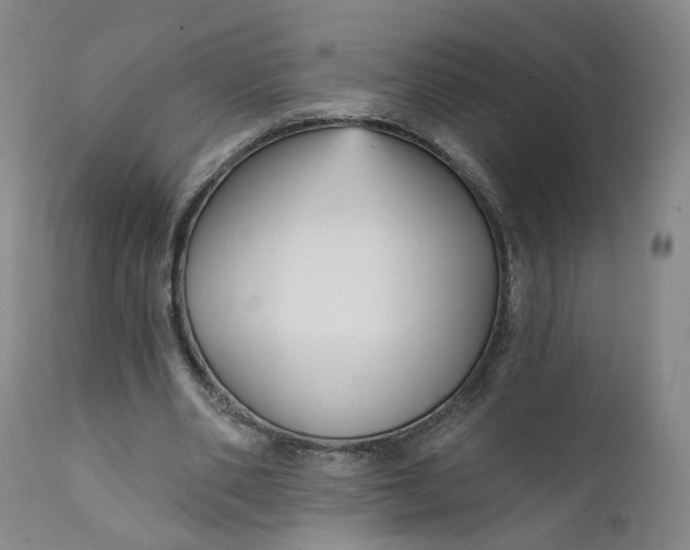 X0000112430486200909041440