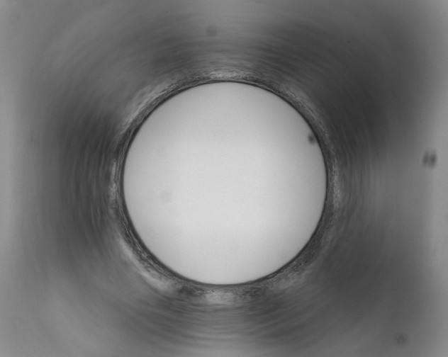 X0000112430490200909041440