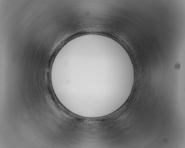 X0000112430491200909041440