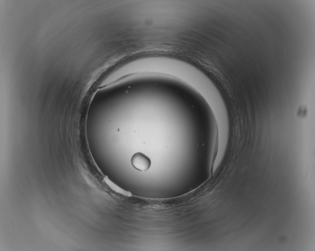 X0000112430492200909041440
