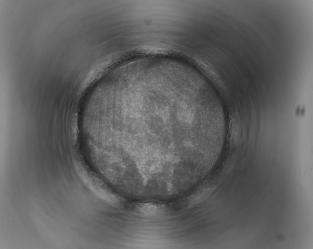 X0000112430494200909041440