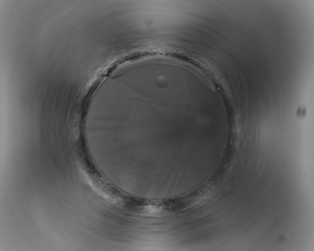 X0000112430496200909041440
