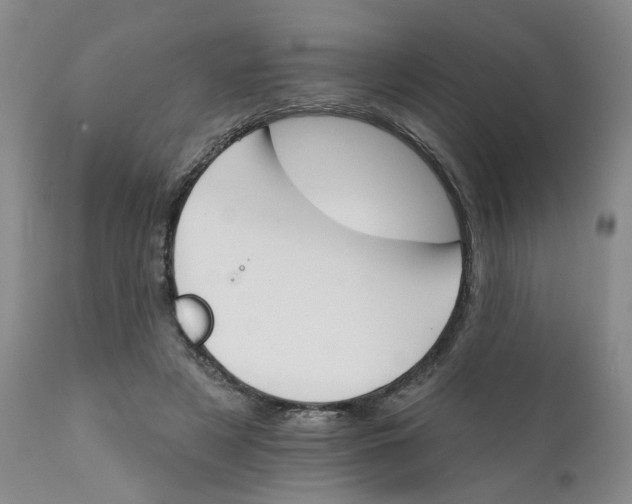X0000112430497200909041440