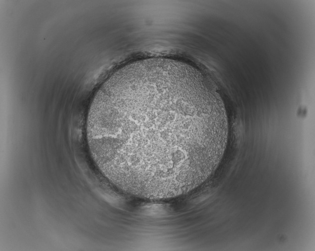X0000112430499200909041440