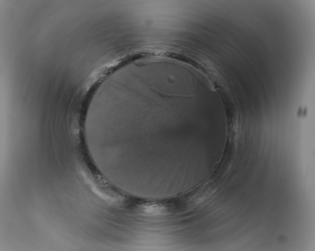X0000112430500200909041440