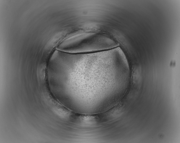 X0000112430501200909041439
