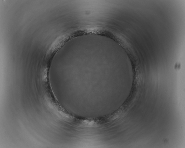 X0000112430502200909041439