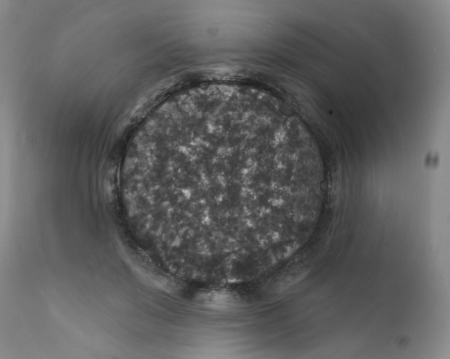 X0000112430503200909041439