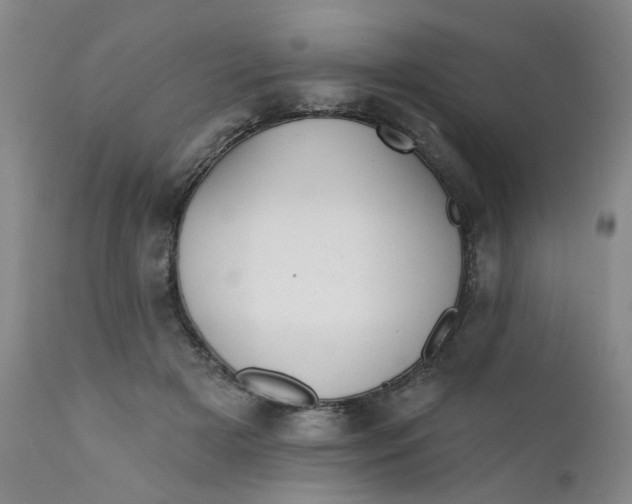 X0000112430505200909041439
