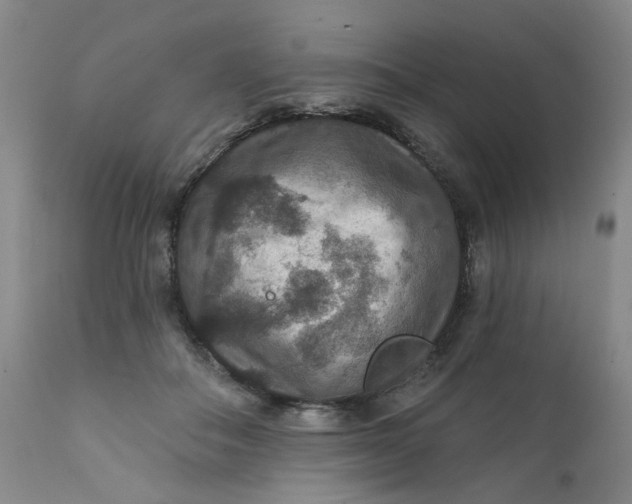 X0000112430506200909041439