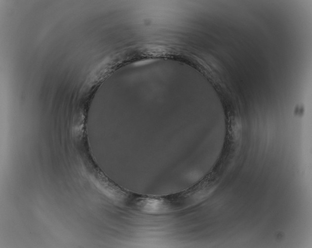 X0000112430507200909041439