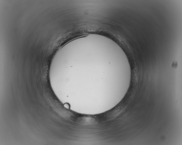 X0000112430509200909041439