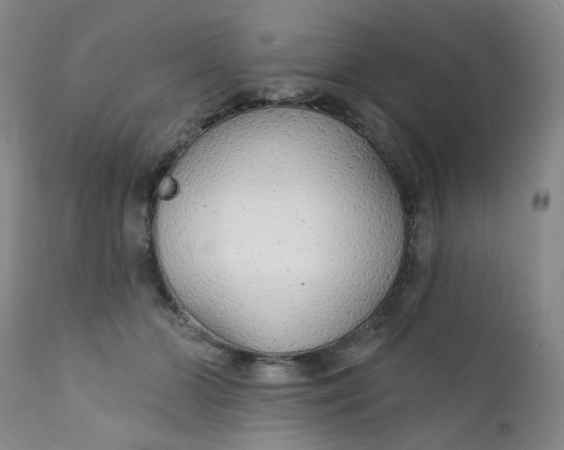X0000112430510200909041439