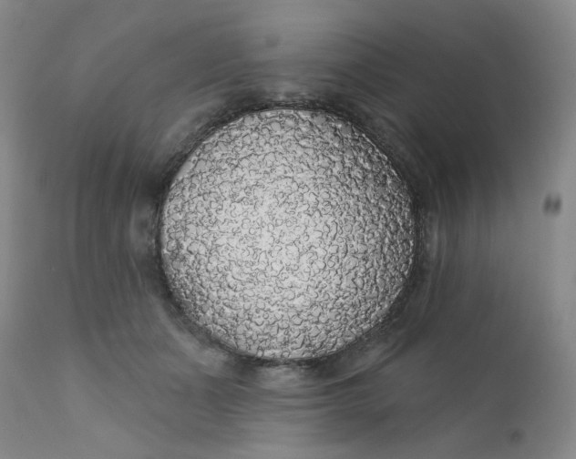 X0000112430511200909041439