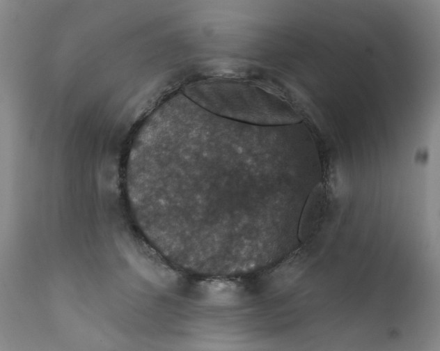 X0000112430512200909041439