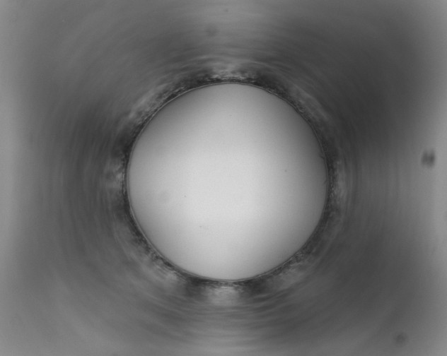 X0000112430513200909041439