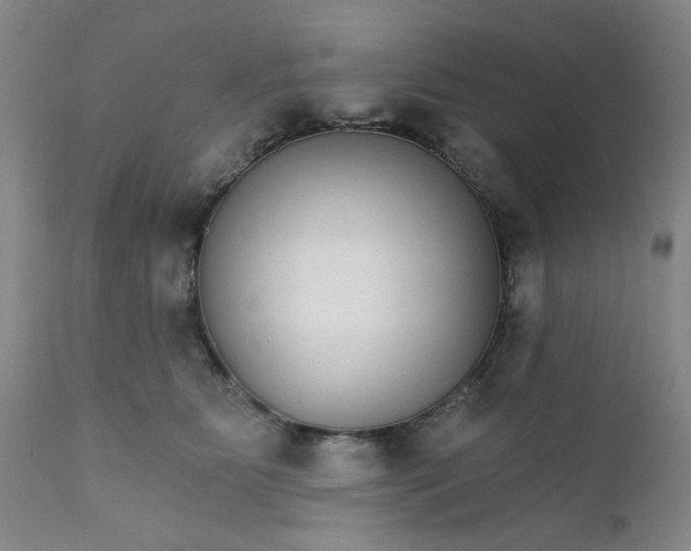 X0000112430515200909041439
