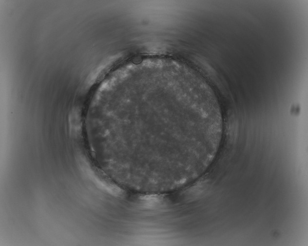 X0000112430516200909041439