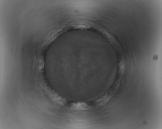 X0000112430517200909041439