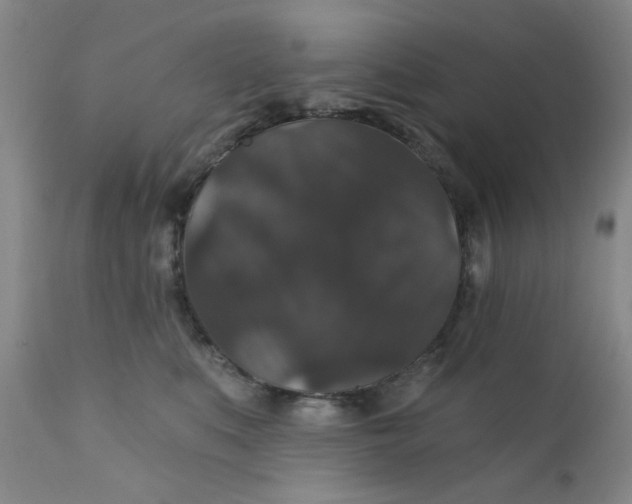 X0000112430519200909041439