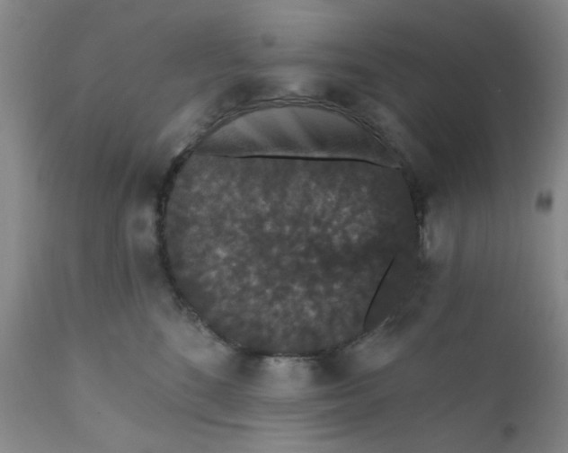 X0000112430520200909041439