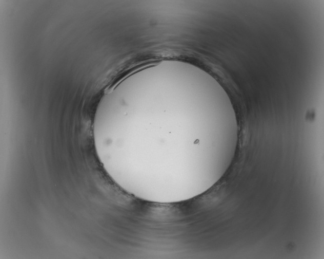 X0000112430521200909041439