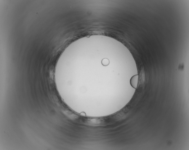 X0000112430522200909041439