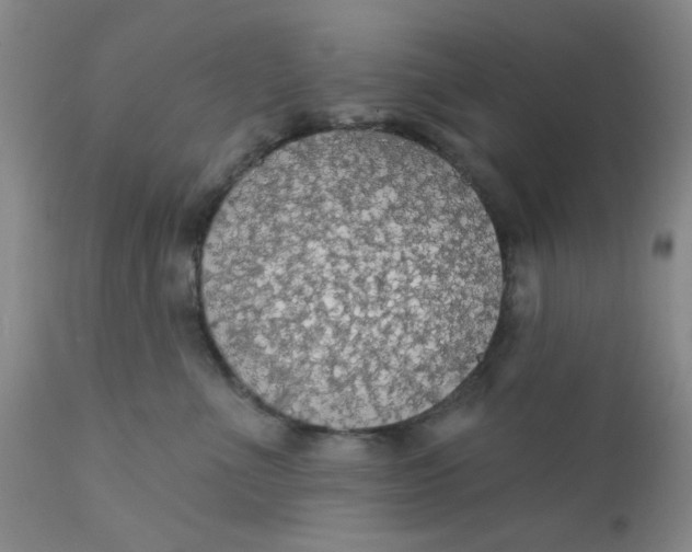 X0000112430523200909041439