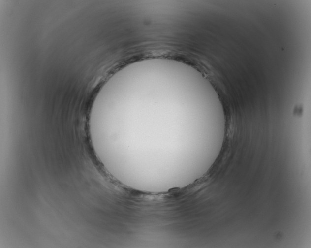 X0000112430524200909041439