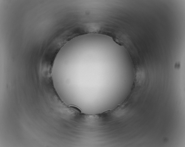 X0000112430525200909041439