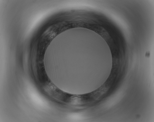 X0000112430526200909041439