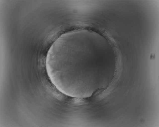 X0000112430528200909041439