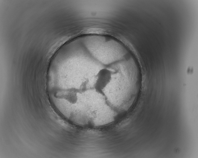 X0000112430529200909041438