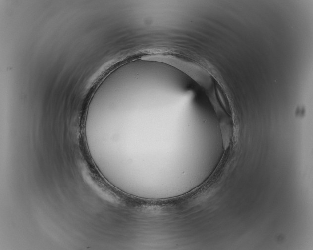 X0000112430530200909041438