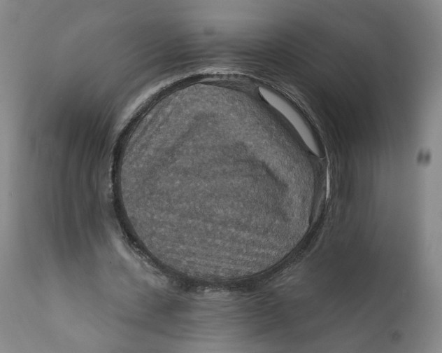 X0000112430531200909041438