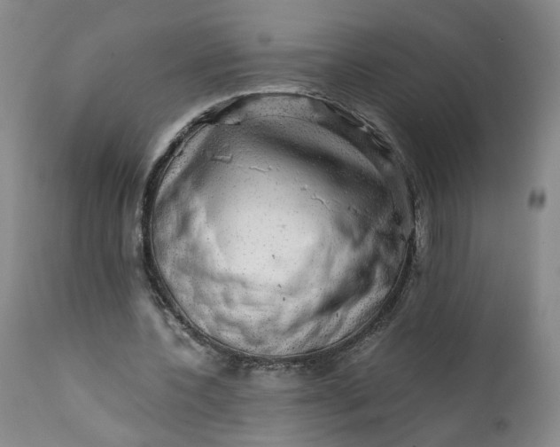 X0000112430532200909041438