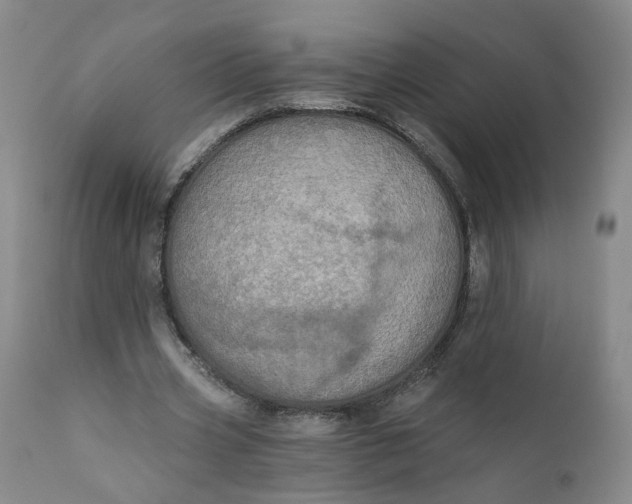 X0000112430533200909041438