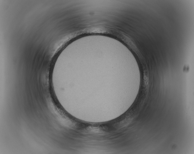 X0000112430534200909041438