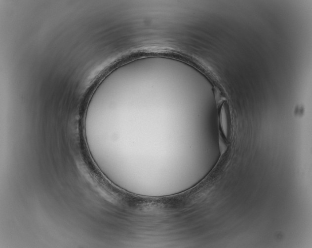 X0000112430535200909041438