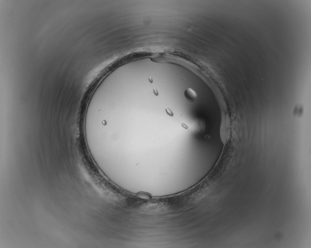 X0000112430536200909041438