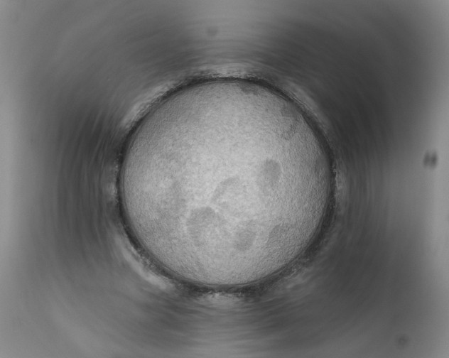 X0000112430537200909041438