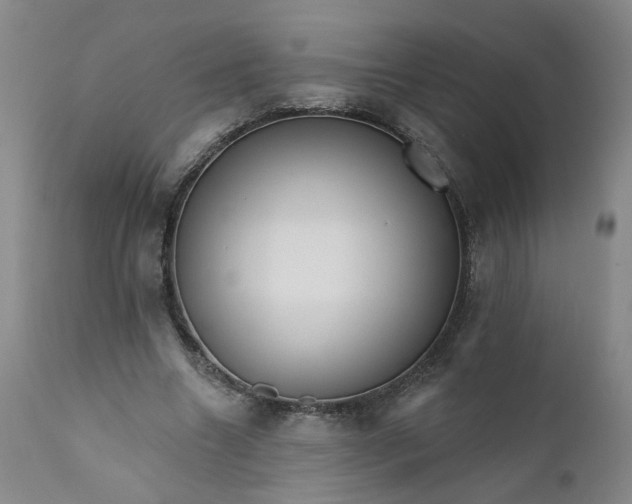 X0000112430538200909041438